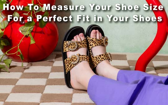 How To Measure Your Shoe Size For a Perfect Fit in Your Shoes